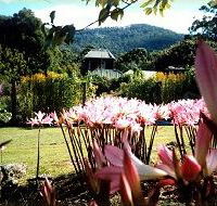 Blueberry Cottage Open Gardens - Accommodation Coffs Harbour