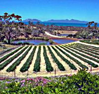 Kate's Berry Farm - Accommodation Coffs Harbour