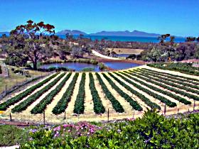 Kate's Berry Farm - Accommodation Coffs Harbour 0