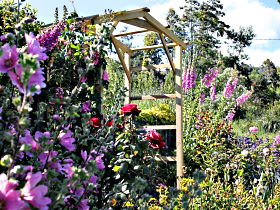 Thelma Retreat Garden And Teahouse - Accommodation Coffs Harbour 0