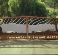 Tasmanian Bushland Garden - Accommodation Coffs Harbour