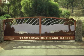 Tasmanian Bushland Garden - Accommodation Coffs Harbour 0