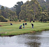 Penguin Golf Course - Accommodation Coffs Harbour