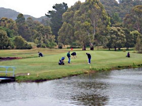 Penguin Golf Course - Accommodation Coffs Harbour 0
