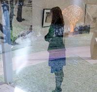 Beaver Galleries - Accommodation Coffs Harbour