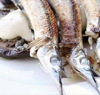 Pulp Kitchen - Accommodation Coffs Harbour