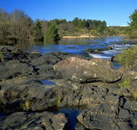 Pine Island to Point Hut Reserve - Accommodation Coffs Harbour