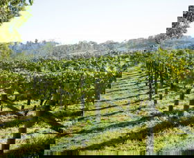 Surveyor's Hill Vineyards - Accommodation Coffs Harbour 0