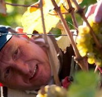 Puddleduck Vineyard - Accommodation Coffs Harbour