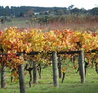 Apsley Gorge Vineyard - Accommodation Coffs Harbour