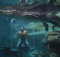 Crocosaurus Cove - Accommodation Coffs Harbour