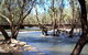 Low Level Nature Reserve - thumb 0