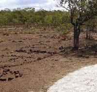 Wurrwurrwuy Garanhan Macassan Beach Interpretive Walk - Accommodation Coffs Harbour