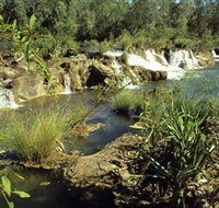 Flora River Nature Park - Accommodation Coffs Harbour