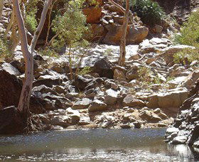  Accommodation Coffs Harbour