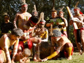 Riverlife Mirrabooka - Accommodation Coffs Harbour 0