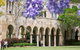 The University Of Queensland - thumb 0