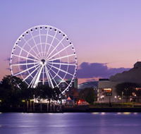 The Wheel of Brisbane - Accommodation Coffs Harbour