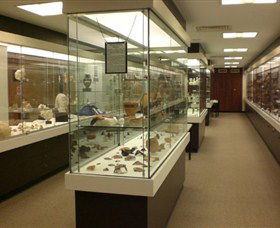 UQ Antiquities Museum - Accommodation Coffs Harbour 0