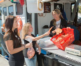 Gold Coast Fishermens Co-operative Limited - Accommodation Coffs Harbour 0