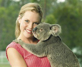  Accommodation Coffs Harbour