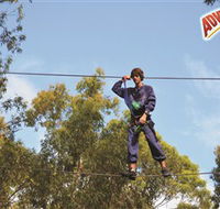 Adventure Parc at Currumbin Wildlife Sanctuary - Accommodation Coffs Harbour
