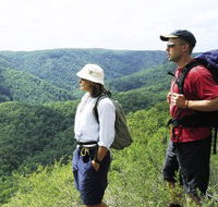 Sunshine Coast Hinterland Great Walk - Accommodation Coffs Harbour