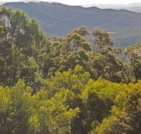 Conondale National Park - Accommodation Coffs Harbour