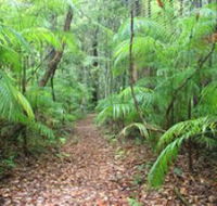 Delicia Road Conservation Park - Accommodation Coffs Harbour