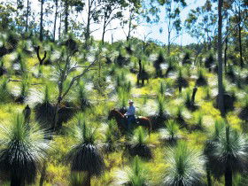 Bicentennial National Trail - Section 5 - Accommodation Coffs Harbour 0