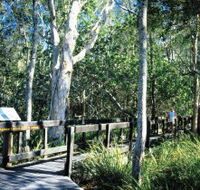 Kinaba Track - Accommodation Coffs Harbour