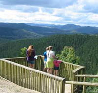 Kenilworth Forest Reserve - Accommodation Coffs Harbour