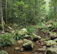 Amamoor State Forest - Accommodation Coffs Harbour