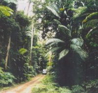 Conondale Great Walk - Accommodation Coffs Harbour