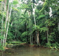 Mount Allan Trail - Accommodation Coffs Harbour