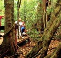 Mary Cairncross Scenic Reserve - Accommodation Coffs Harbour