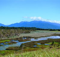 Eubenangee Swamp National Park - Accommodation Coffs Harbour