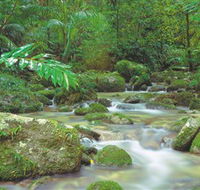 Mossman Gorge Daintree National Park - Accommodation Coffs Harbour