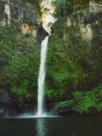 Nandroya Falls Circuit Track, Wooroonooran National Park - Accommodation Coffs Harbour 0