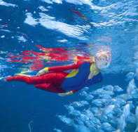 Great Detached Reef Dive Site