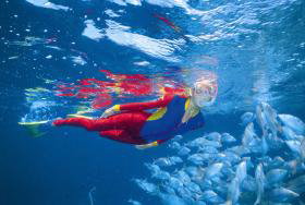 Great Detached Reef Dive Site - Accommodation Coffs Harbour 0