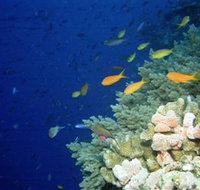The Three Sisters Dive Site