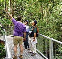 Daintree Discovery Centre - Accommodation Coffs Harbour