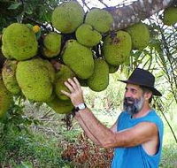 Cape Trib Exotic Fruit Farm - Accommodation Coffs Harbour