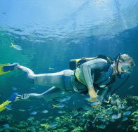 Tijou Reef - Accommodation Coffs Harbour