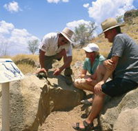 Riversleigh Fossil Fields - Accommodation Coffs Harbour
