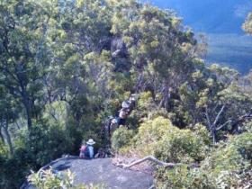 Mia Mia State Forest - Accommodation Coffs Harbour 0