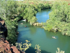 Wild Dog Dreaming, Boodjamulla (Lawn Hill) National Park - Accommodation Coffs Harbour 0