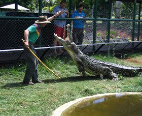 Snakes Downunder Reptile Park And Zoo - Accommodation Coffs Harbour 0