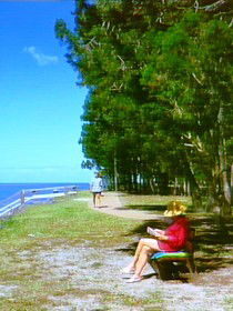 Woodgate QLD Accommodation Coffs Harbour